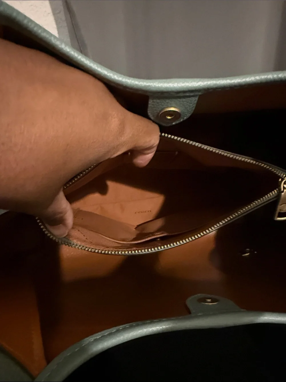 Coach Large Lana Bag in Sage